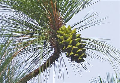  ʾϲ 320ʪ仯ʷ