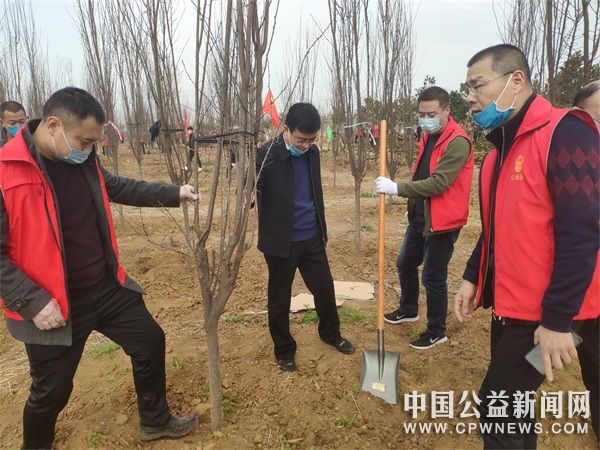 河南：辉县交通志愿者义务植树不负春光