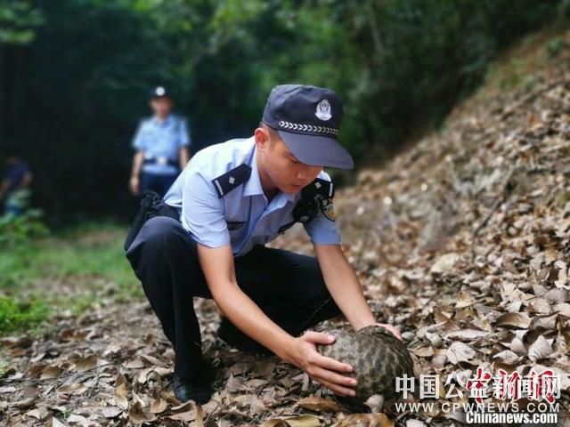 浙江开化：数字生态警务为野生动物撑起“保护伞”