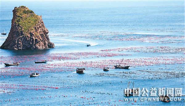 截至目前，中国国家级海洋牧场示范区已达153个—— 保障“蓝色粮仓”，海洋牧场作用大