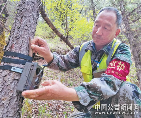 青海推动共建青藏高原国家公园群—— 高标准建设  高质量保护