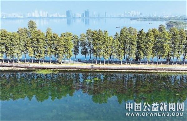 中国履行《湿地公约》30周年成果卓著 为湿地治理贡献中国智慧（踔厉奋进新征程）