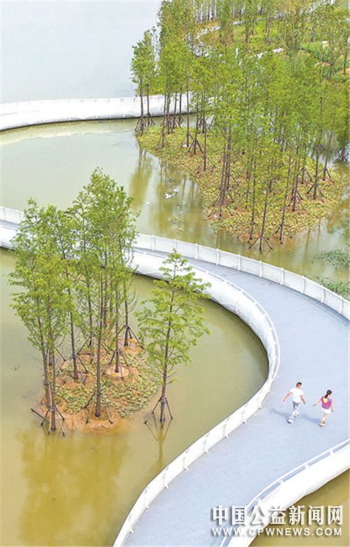 江苏泗阳 生态缓冲区 绿色又美观