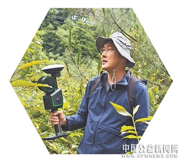 十年“数”遍神州树，“拼”出森林全景图（自然之子）